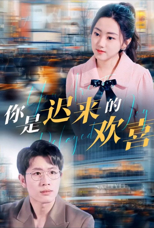 你是迟来的欢喜 封面