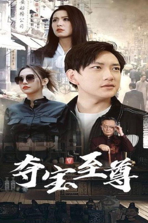 夺宝至尊 封面