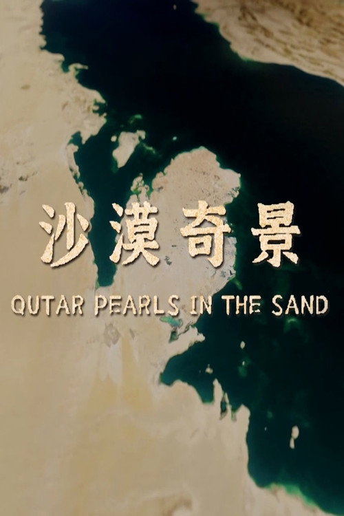 沙漠奇景 封面