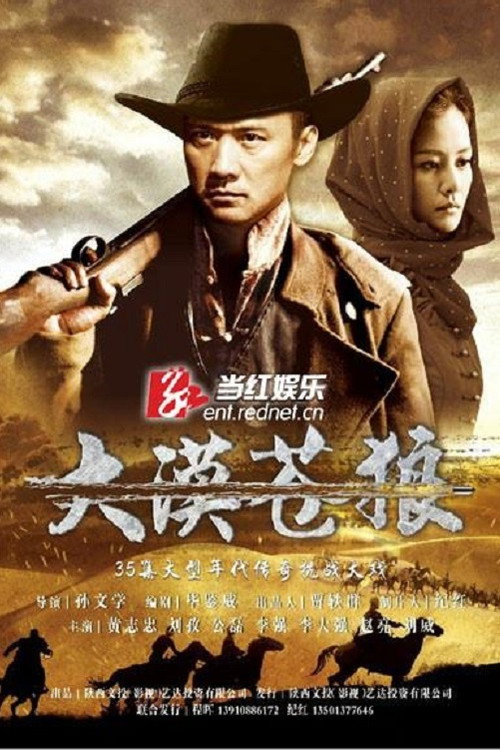 大漠苍狼 封面