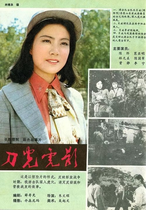 刀光虎影 封面