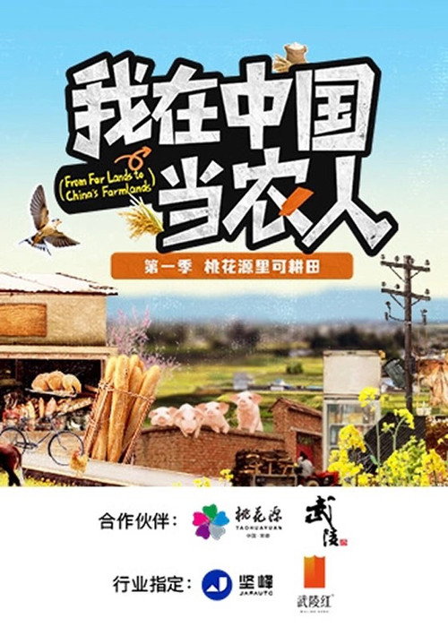 我在中国当农人 封面