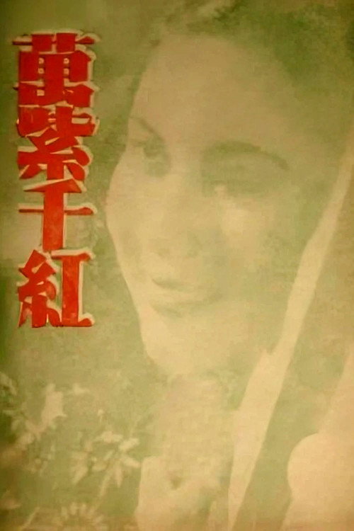 万紫千红 封面