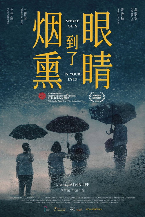 烟熏到了眼睛 封面