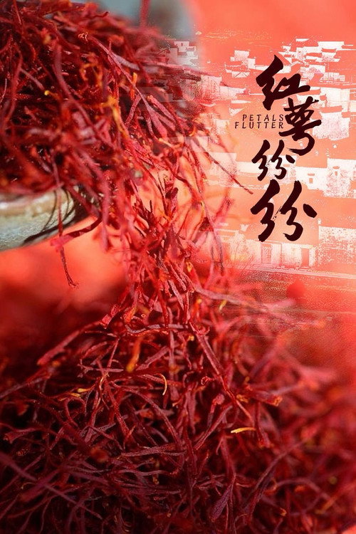 红萼纷纷 封面