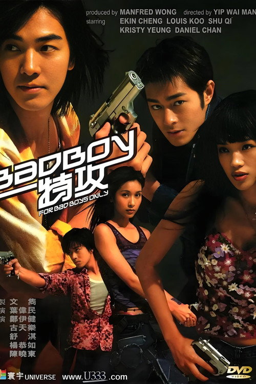 坏小子特攻 封面