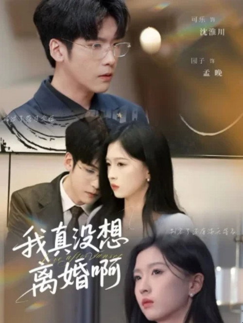 我真没想离婚啊 封面