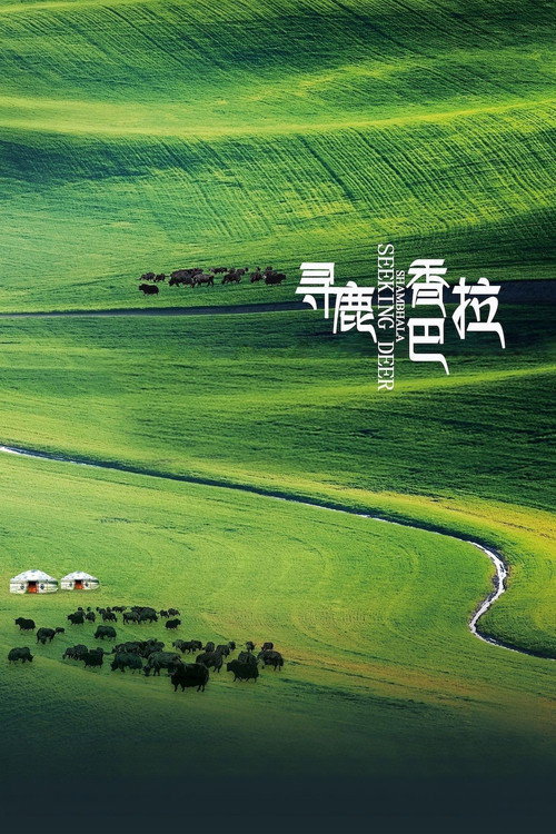 寻鹿香巴拉 封面