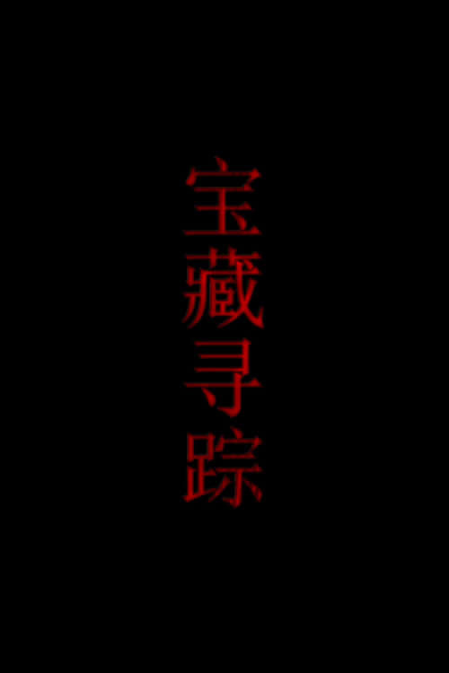宝藏寻踪 封面