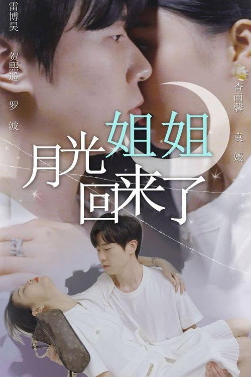 月光姐姐回来了 封面