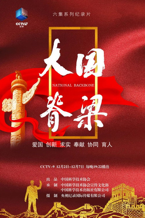 大国脊梁 封面