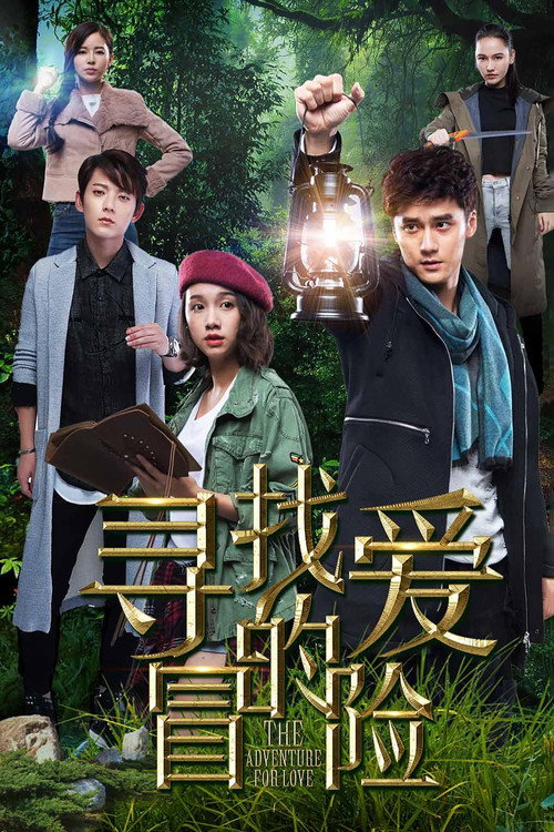 寻找爱的冒险 封面