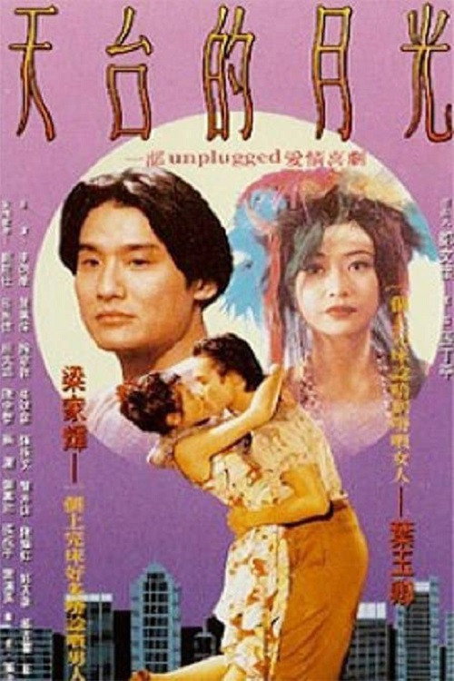 天台的月光 封面