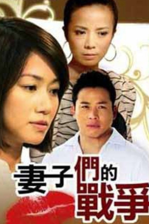 妻子们的战争 封面