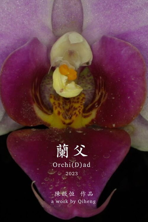 蘭父 封面