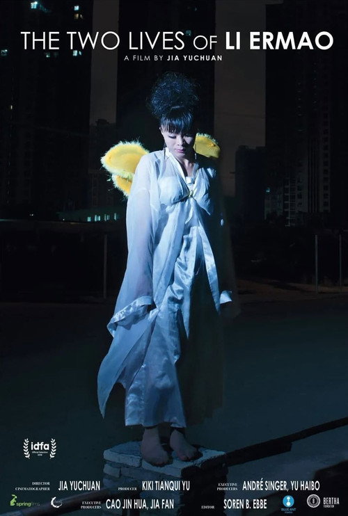 二毛 封面