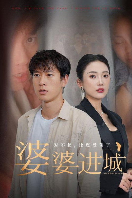婆婆进城 封面