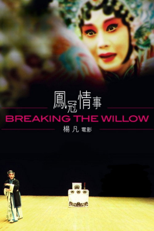 凤冠情事 封面
