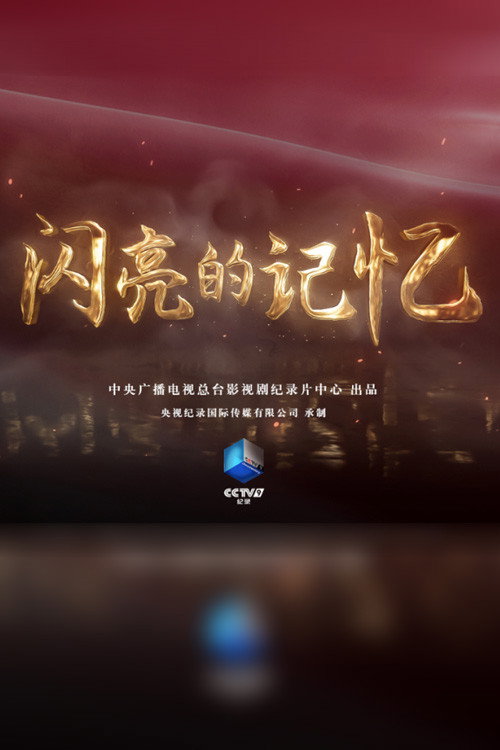 闪亮的记忆 封面