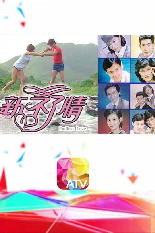 新不了情 封面