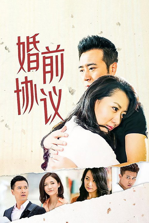婚前协议 封面