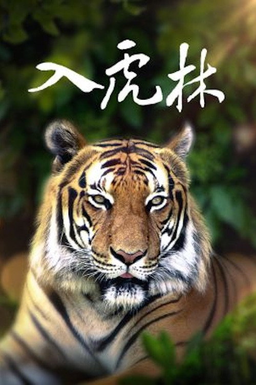 入虎林 封面