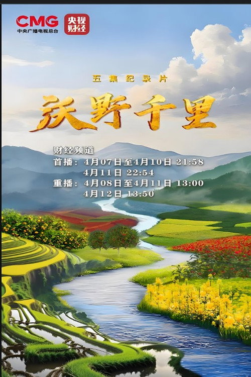 沃野千里 封面