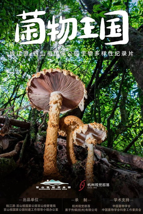 菌物王国 封面