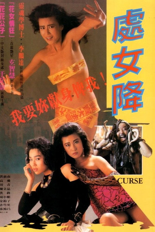 处女降 封面