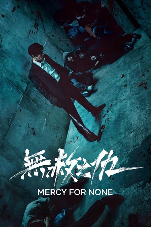 无赦之仇 封面