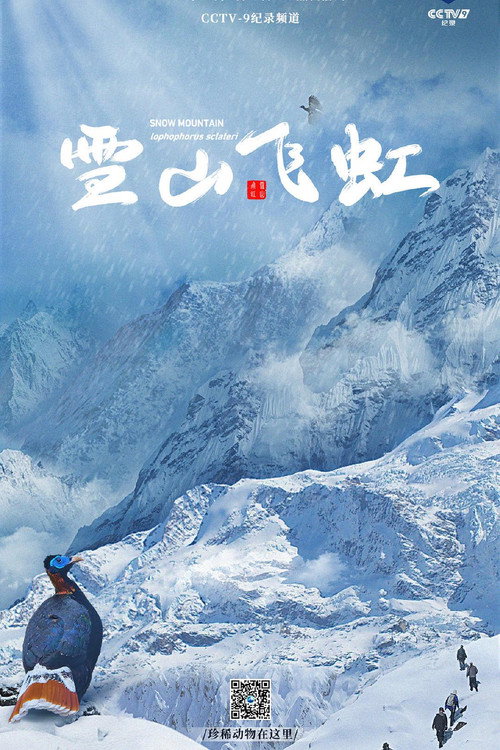 雪山飞虹 封面