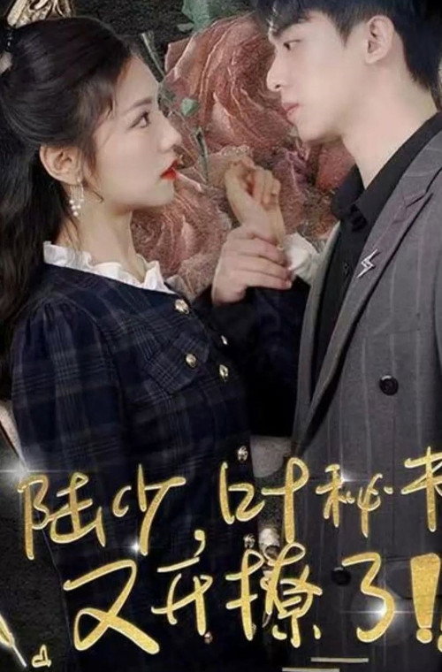 陆少叶秘书又开撩了 封面