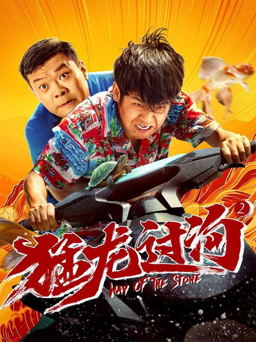 猛龙过沟2 封面