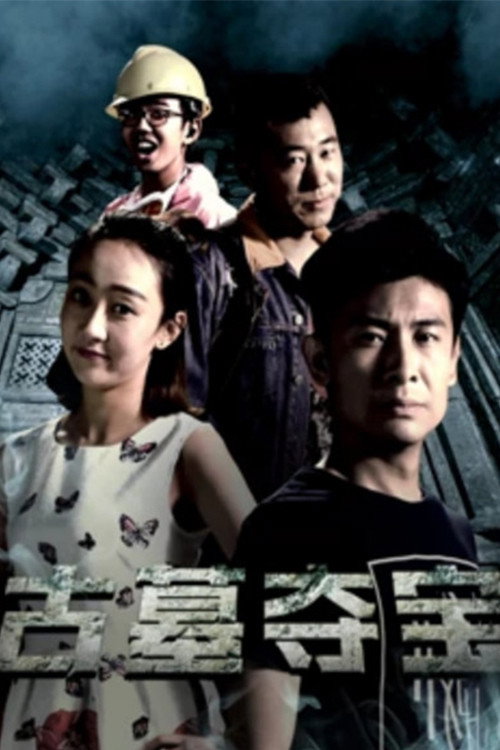 古墓夺宝 封面