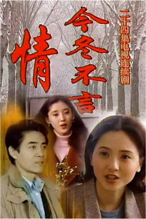 今冬不言情 封面
