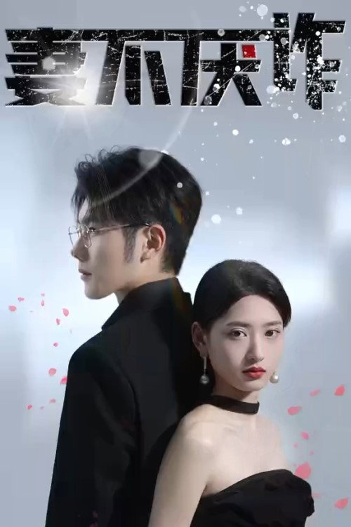 妻不厌诈 封面