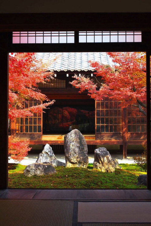 京都红叶夜 封面