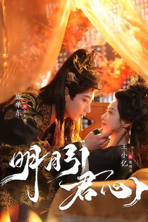 明月引君心 封面