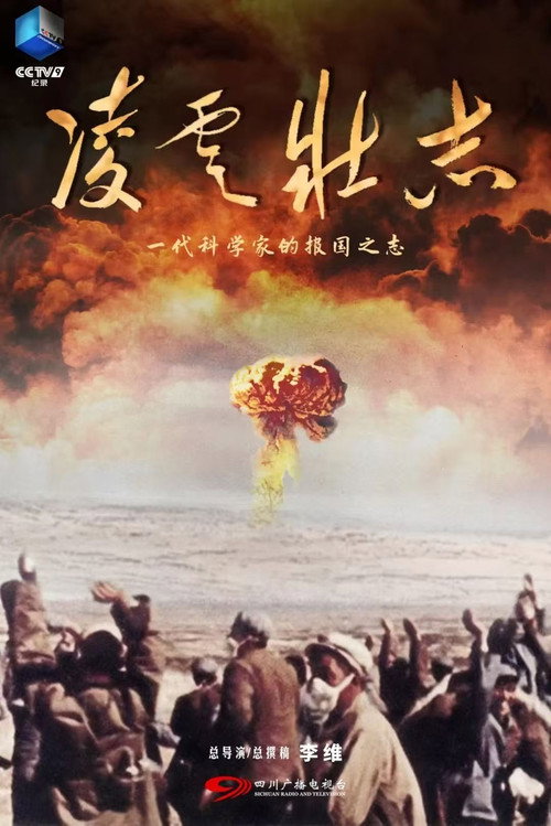凌云壮志 封面