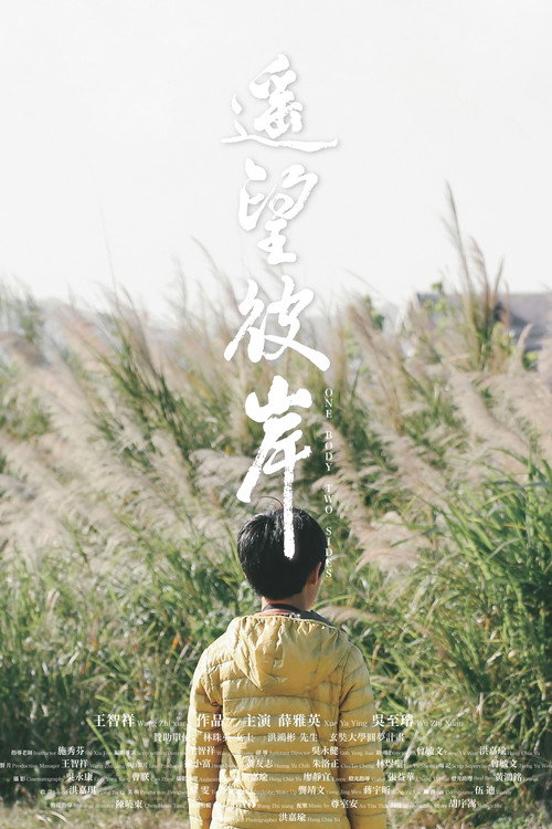 遙望彼岸 封面
