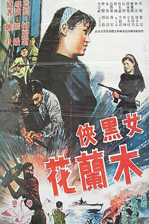 女黑侠木兰花 封面