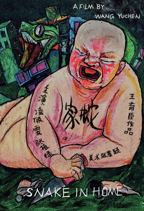 家蛇 封面