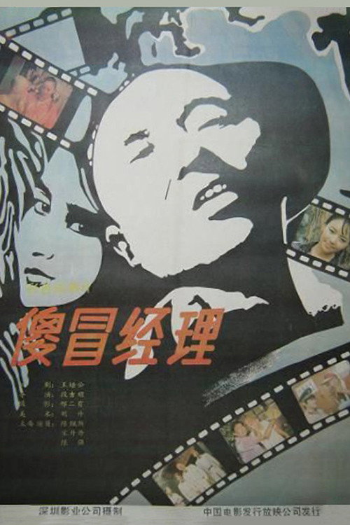 傻冒经理 封面