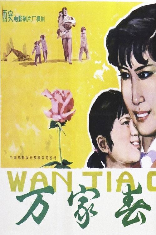 万家春 封面