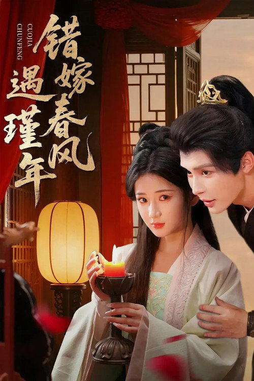 错嫁春风遇瑾年 封面