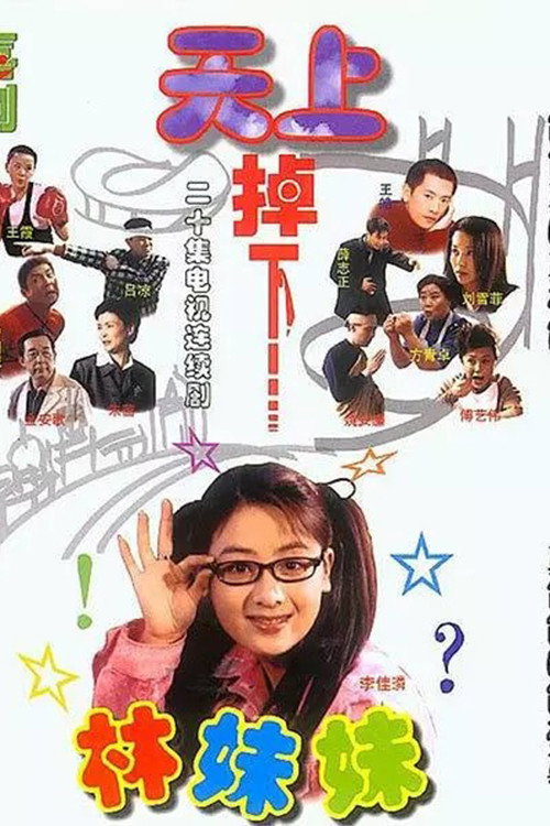 天上掉下个林妹妹 封面