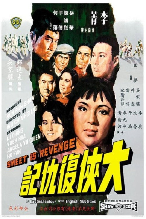 大侠复仇记 封面