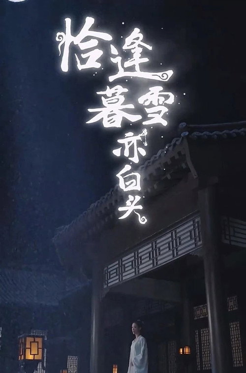 恰逢暮雪亦白头 封面