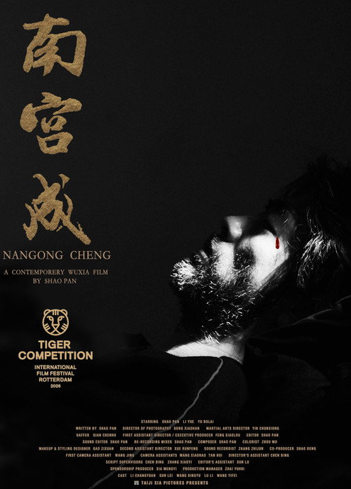 Nangong Cheng 封面