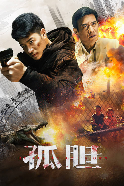 孤胆 封面